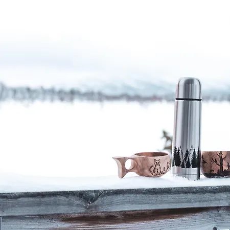 Villa Valkko By In Lapland